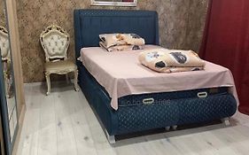 Double Bed Room
